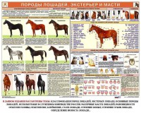 Комплект плакатов "Служебное коневодство" - fgospostavki.ru - Югорск