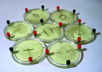 Демонстрационный комплект «Силовые линии электрического поля разных систем зарядов» - fgospostavki.ru - Югорск