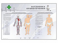 Электрифицированный стенд "Остановка кровотечения" - fgospostavki.ru - Югорск