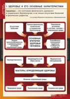 Комплект таблиц. ОБЖ. Здоровый образ жизни. - fgospostavki.ru - Югорск