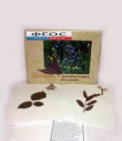 Гербарий "Дикорастущие растения" (28 видов) - fgospostavki.ru - Югорск