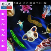 Биология. Микрофотографии. (Цифровая база изображений) - fgospostavki.ru - Югорск