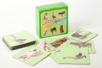 Набор магнитных карточек "Устный счет" (фон зеленый) - fgospostavki.ru - Югорск