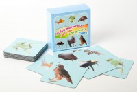 Набор магнитных карточек "Устный счет" (фон голубой) - fgospostavki.ru - Югорск