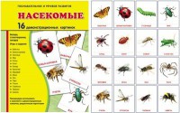Демонстрационные карточки "Насекомые" - fgospostavki.ru - Югорск
