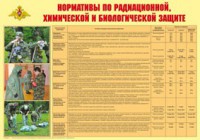 Плакат "Нормативы по радиационной, химической и биологической защите" - fgospostavki.ru - Югорск