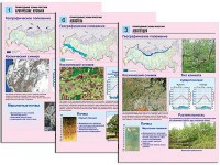 Комплект таблиц по географии "Природные зоны России" раздаточные (цветные, ламинированные, А4, 10 штук) - fgospostavki.ru - Югорск