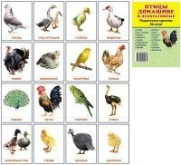 Раздаточные карточки "Птицы домашние и декоративные" - fgospostavki.ru - Югорск