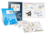 Комплект кодотранспарантов "Опасные животные" - fgospostavki.ru - Югорск