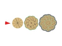 Магнитная математика Наталии Пятибратовой (Числовые фигуры) - fgospostavki.ru - Югорск