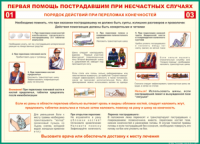 Таблица "Порядок действий при переломах конечностей" (100х140 сантиметров, винил) - fgospostavki.ru - Югорск