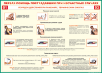 Таблица "Порядок действий при ранениях и термических ожогах" (100х140 сантиметров, винил) - fgospostavki.ru - Югорск