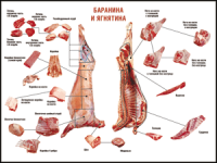 Таблица "Правила разделки мясных туш. Баранина и ягнятина" (100х140 сантиметров, винил) - fgospostavki.ru - Югорск
