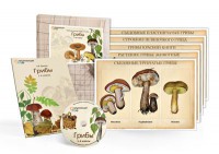 Комбинированное наглядное пособие  «Грибы» - fgospostavki.ru - Югорск