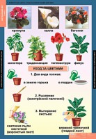 Комплект таблиц. Окружающий мир 1 класс. - fgospostavki.ru - Югорск