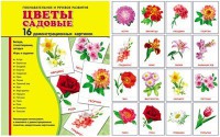 Демонстрационные карточки "Цветы садовые" - fgospostavki.ru - Югорск