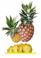 Комплект карточек "Запоминай, играй, считай" - Фрукты - fgospostavki.ru - Югорск