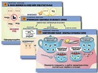Комплект таблиц "Русский язык. Орфография" (14 таблиц, формат А1, ламинированные) - fgospostavki.ru - Югорск