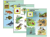 Комплект таблиц "Окружающий мир. Животный мир" (8 таблиц, А1, ламинированные) - fgospostavki.ru - Югорск