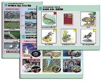 Комплект таблиц "Окружающий мир. Экология" (6 таблиц, А1, ламинированные) - fgospostavki.ru - Югорск