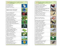 Комплект карточек (10) "Обучающий калейдоскоп. Природа" - fgospostavki.ru - Югорск