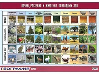 Таблица демонстрационная "Почвы, растения и животные природных зон" (винил 100*140) - fgospostavki.ru - Югорск