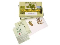 Гербарий "Для начальной школы" (30 видов, с иллюстрациями) - fgospostavki.ru - Югорск
