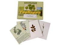 Гербарий "Деревья и кустарники" (22 вида, с иллюстрациями) - fgospostavki.ru - Югорск