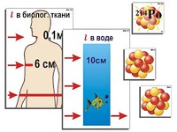 Модель-аппликация "Явление радиоактивности" (ламинированная) - fgospostavki.ru - Югорск