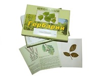 Гербарий "Дикорастущие растения" (30 видов, с иллюстрациями) - fgospostavki.ru - Югорск