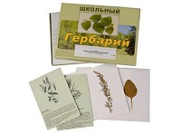 Гербарий "Лекарственные растения" (22 вида с иллюстрациями) - fgospostavki.ru - Югорск