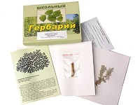 Гербарий "Водоросли. Грибы. Лишайники" (раздаточный) - fgospostavki.ru - Югорск
