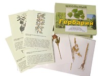 Гербарий "Систематика растений. Семейство Бобовые. Злаки" (раздаточный) - fgospostavki.ru - Югорск