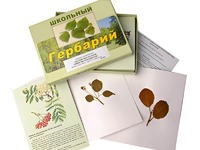 Гербарий "Систематика растений. Семейство Розоцветные" (раздаточный) - fgospostavki.ru - Югорск