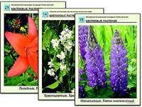 Гербарий фотографический "Основные группы растений" - fgospostavki.ru - Югорск
