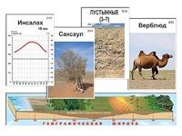 Модель-аппликация "Природные зоны" - fgospostavki.ru - Югорск