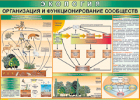 Таблица "Организация и функционирование сообществ" (100х140 сантиметров, винил) - fgospostavki.ru - Югорск