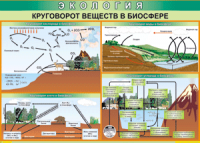 Таблица "Круговорот веществ в биосфере" (100х140 сантиметров, винил) - fgospostavki.ru - Югорск