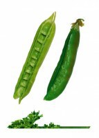 Комплект карточек "Запоминай, играй, считай" -  Овощи - fgospostavki.ru - Югорск