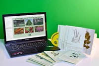 Гербарий натурально-интерактивный "Лекарственные растения" - fgospostavki.ru - Югорск