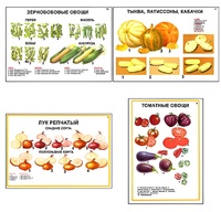 Плакаты ПРОФТЕХ "Ассортимент овощных культур" (12 пл, винил, 70х100) - fgospostavki.ru - Югорск