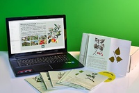 Гербарий натурально-интерактивный "Деревья и кустарники" - fgospostavki.ru - Югорск