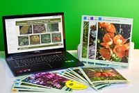 Гербарий натурально-интерактивный "Основные группы растений. Грибы. Лишайники" - fgospostavki.ru - Югорск