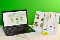 Гербарий натурально-интерактивный "Морфология растений" - fgospostavki.ru - Югорск