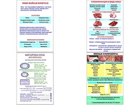 Плакаты ПРОФТЕХ "Классификации и виды мяса" (4 пл, винил, 70х100) - fgospostavki.ru - Югорск