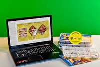 Коллекция натурально-интерактивная "Раковины моллюсков" - fgospostavki.ru - Югорск