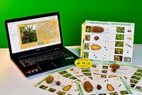 Коллекция натурально-интерактивная "Шишки, плоды, семена деревьев и кустарников" - fgospostavki.ru - Югорск