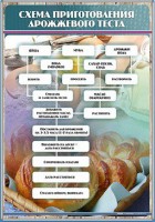 Стенд "Схема приготовления дрожжевого теста" - fgospostavki.ru - Югорск