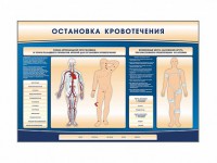 Электрифицированный стенд-тренажер "Остановка кровотечения" - fgospostavki.ru - Югорск