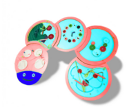 Тактильно-развивающая панель «Гусеница» - fgospostavki.ru - Югорск